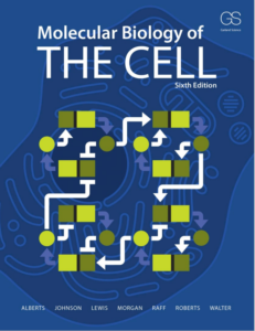 Molecular Biology of the Cell 6th Edition by Bruce Alberts eBook cover