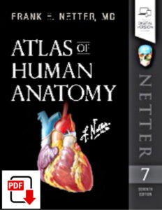 Atlas of Human Anatomy 7th Edition by by Frank H. Netter eBook cover