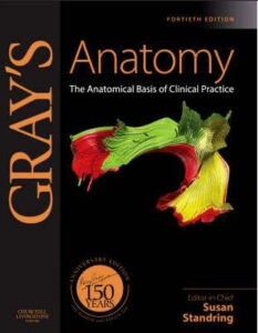 Gray's Anatomy: The Anatomical Basis of Clinical Practice 40th Edition eBook cover