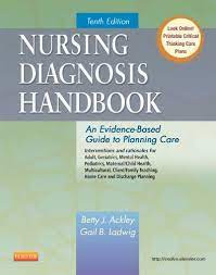 Nursing Diagnosis Handbook: An Evidence-Based Guide to Planning Care 10th Ed eBook cover