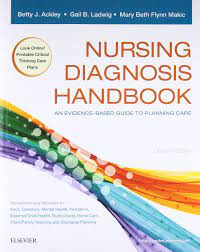 Nursing Diagnosis Handbook: An Evidence-Based Guide to Planning Care 11th Editio eBook cover