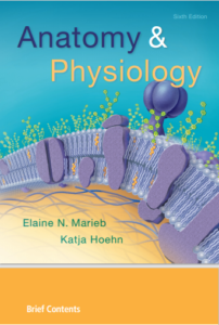 Anatomy Physiology by Elaine N. Marieb 6th Edition eBook cover