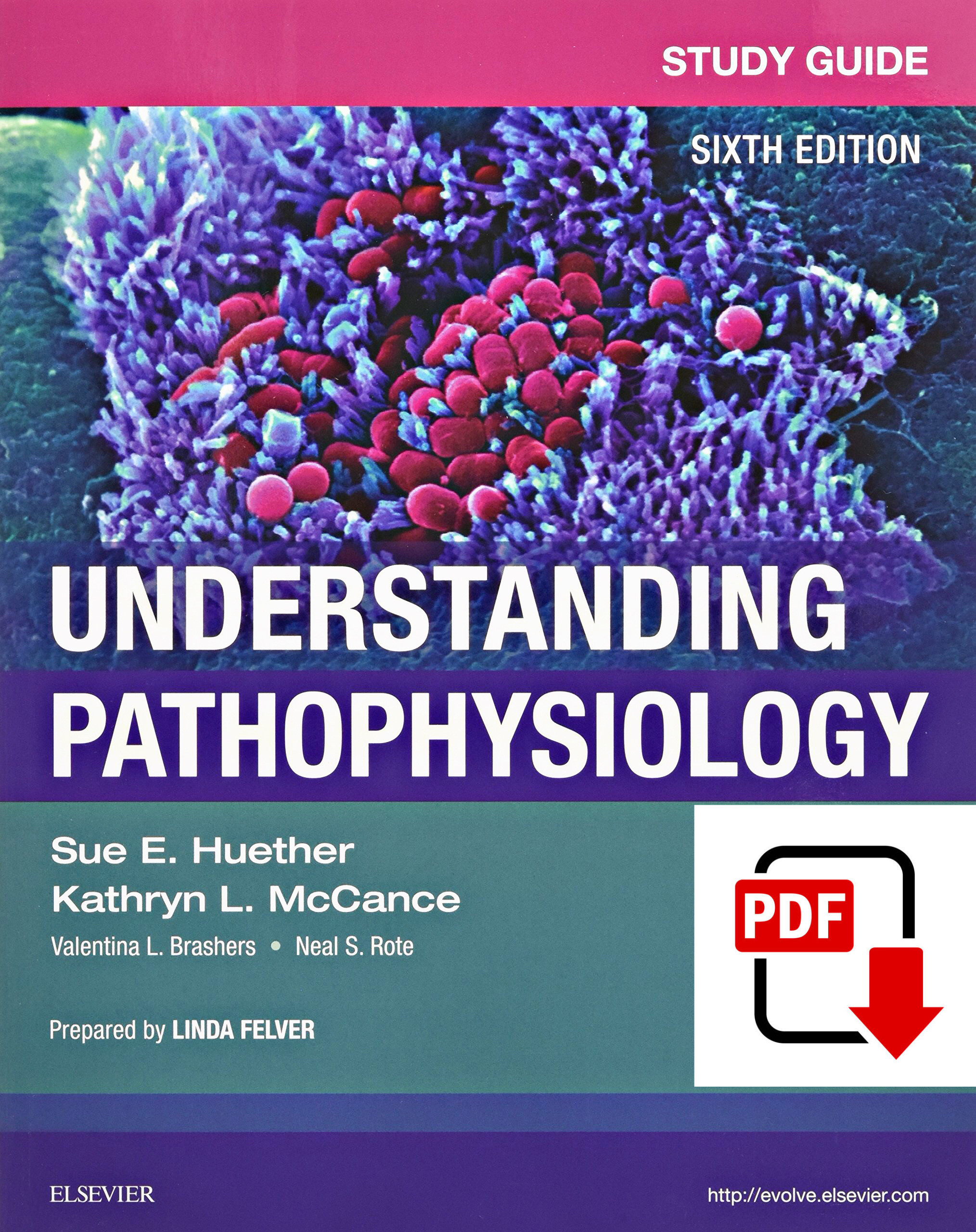 Study Guide for Understanding Pathophysiology 6th Edition eBook cover