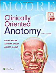 Clinically Oriented Anatomy 8th Edition eBook cover