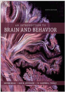 An Introduction to Brain and Behavior Sixth Edition 978-1319107376 eBook cover