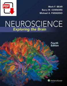 Neuroscience: Exploring the Brain 4th Edition 9781284618747 eBook cover