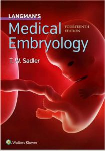 Langman's Medical Embryology 14th Edition eBook cover