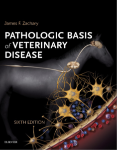 Pathologic Basis of Veterinary Disease Expert Consult 6th Edition eBook cover