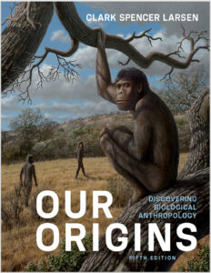 Our Origins, 5th Edition by Clark Spencer Larsen eBook cover