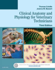 Clinical Anatomy and Physiology for Veterinary Technicians 3rd Edition by Thomas eBook cover