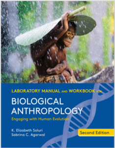 Laboratory Manual and Workbook for Biological Anthropology 2nd Edition eBook cover