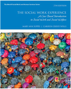 Social Work Experience, The: A Case-Based Introduction to Social Work and Social eBook cover