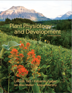 Plant Physiology and Development 6th Edition by Lincoln Taiz eBook cover