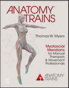 Anatomy Trains: Myofascial Meridians for Manual Therapists and Movement Professi eBook cover