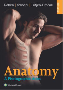 Anatomy: A Photographic Atlas 8th Edition , North American Edition eBook cover